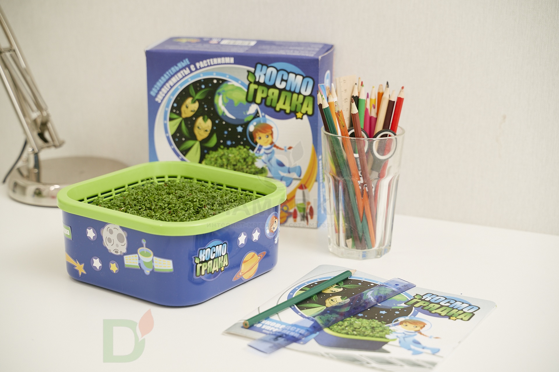 Проращиватель Космогрядка для детей Здоровья клад