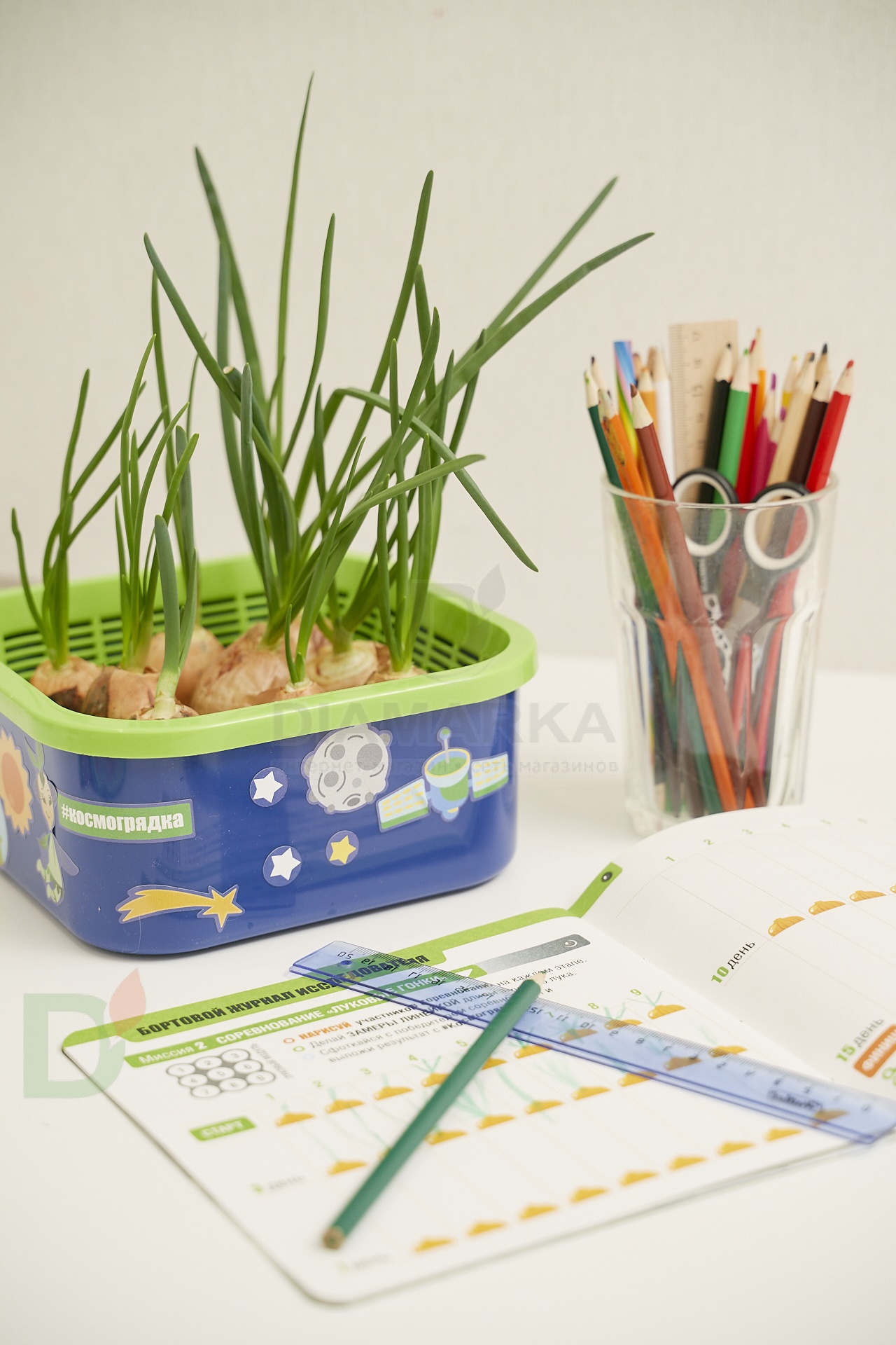 Проращиватель Космогрядка для детей Здоровья клад