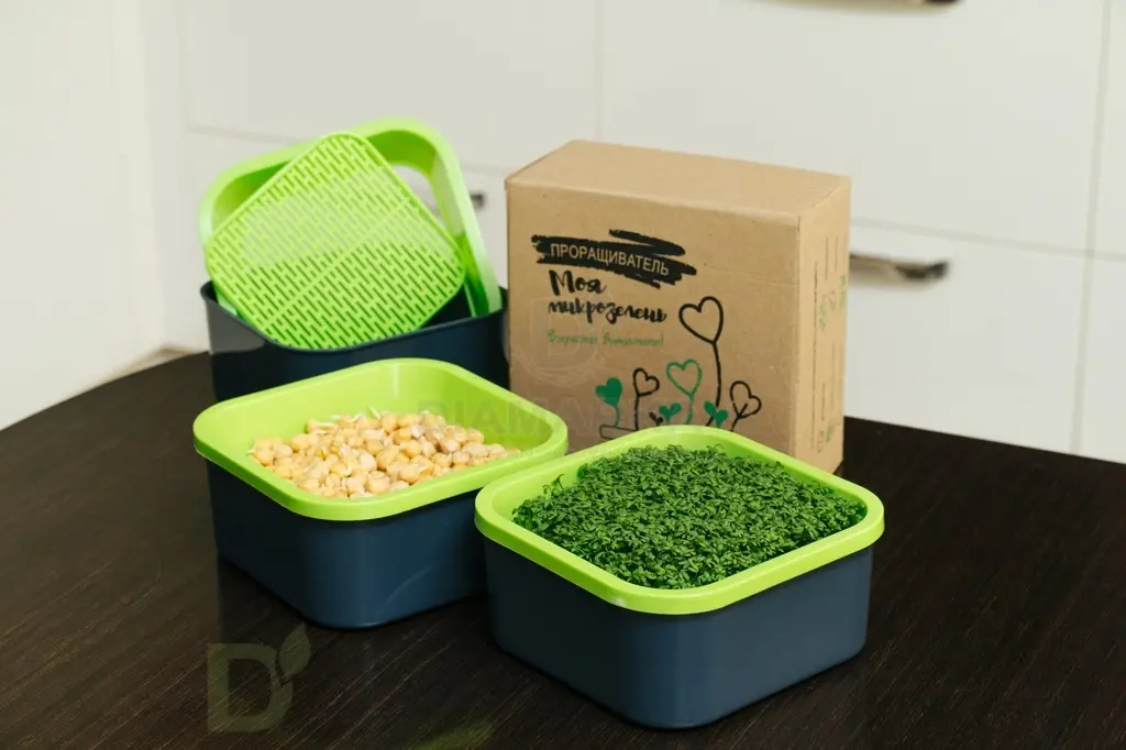 Проращиватель Здоровья клад универсальный крафт